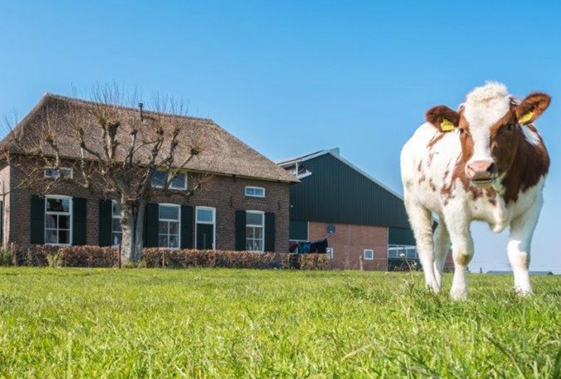 Boerderij Verhaal